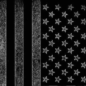 Meet your Posher, Lane